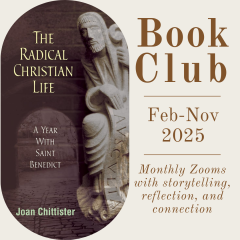 Book Club - Radical Christian Life